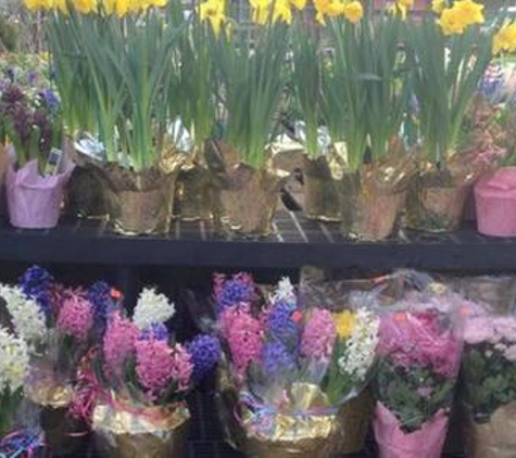 Better Gro Garden Center - Lindenhurst, NY