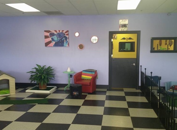 Hippie Hounds Dog Grooming and Training - Indianapolis, IN