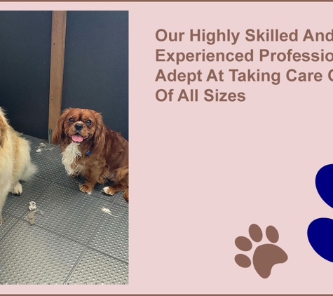 Scottie Clipz - Blackwood, SA. Our Highly Skilled And Experienced Professionals Are Adept At Taking Care Of Dogs Of All Sizes