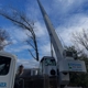 Kingkiner Tree Service