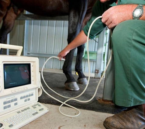 Allora Veterinary Clinic - Old Talgai, QLD