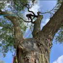 Hodson Family Tree Care