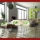Rainbo Elite Carpet Cleaning & Water Damage - Water Damage Restoration