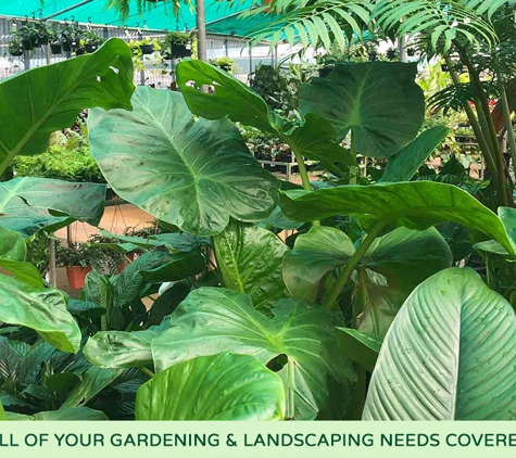 Rosemount Nursery - Rosemount, QLD. All Of Your Gardening & Landscaping Needs Covered