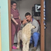 Westerville Veterinary Clinic - West Vets Emergency gallery