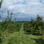 Jollay Orchards