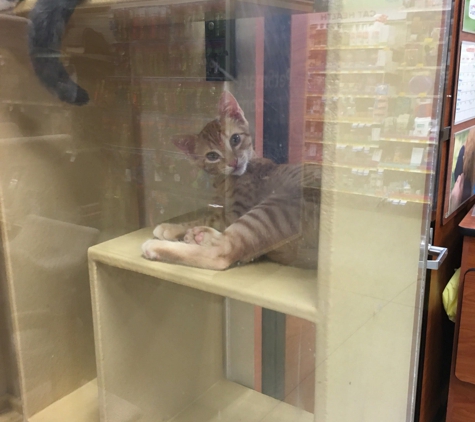 PetSmart - East Brunswick, NJ