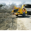 Best Tree Service gallery