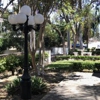 Anew Counseling & Wellness gallery