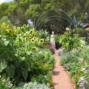 Gallery Image Number 5