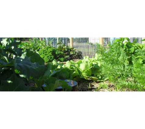 Maryborough Child Care Centre - Maryborough, QLD