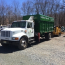 White Birch Tree Service - Tree Service