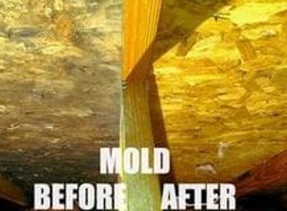 Smart: Mold & Water Restoration - Hinsdale, IL