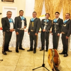 Mariachi Los Gallitos