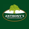 Anthony's Tree Service & Landscape gallery