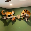 Turners Taxidermy - Taxidermists