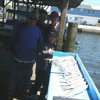 SaltWater Savages Fishing Charters gallery