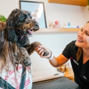 Sploot Veterinary Care-Logan Square - Veterinarian Emergency Services