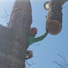 American Tree Service