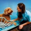 Pet Paradise gallery