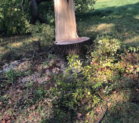 Down To Earth Tree & Stump Removal - Frankfort, IL