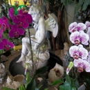 Cypress Florist - Flowers, Plants & Trees-Silk, Dried, Etc.-Retail