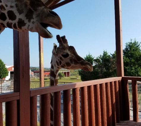 Brights Zoo - Limestone, TN