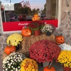 Bob Love - State Farm Insurance Agent gallery
