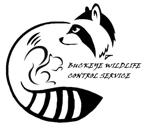 BUCKEY WILDLIFE CONTROL SERVICE - Van Wert, OH