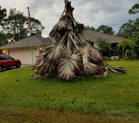 A Advanced Tree Service - Palm Bay, FL