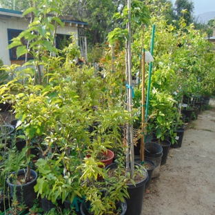 All Seasons Home & Garden Center - San Bernardino, CA