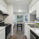 Ovation Apartments - Apartments