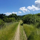 Lexington Reservoir County Park - Parks