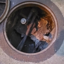 Removal Pro - Environmental & Ecological Consultants
