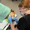 Frisco Vet Care gallery