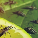 James Pest Management - Pest Control Equipment & Supplies