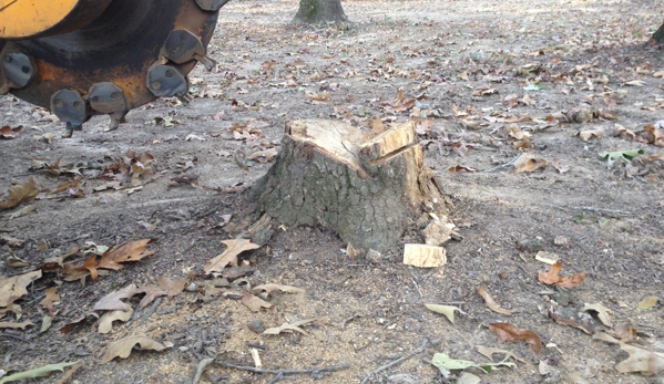 Shelton Stump Grinding - Ward, AR