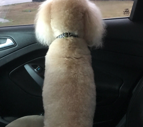 Noah's Ark Boarding & Grooming - New Braunfels, TX