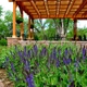 Green Landscape Solutions Boulder Landscaping & Design