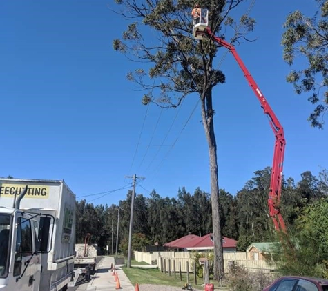 C & S Tree Services - North Nowra, NSW