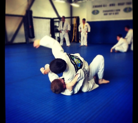 Zingano Brazilian Jiu Jitsu - Brighton, CO