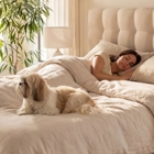 Sleep Number Mattress Store