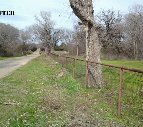 clearing&trimming services - Arlington, TX