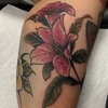 Southern Tattoo Society gallery