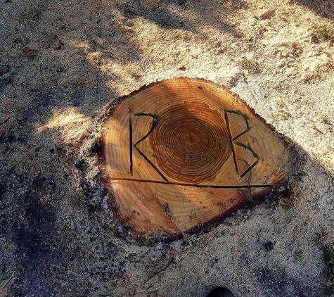 Rob's Tree Service - Tyers, VIC