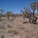 Kingman Land For Sale - Real Estate Developers