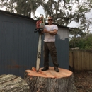 DEROSA'S TREE SERVICE - Tree Service