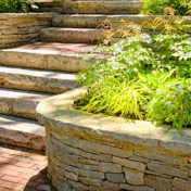 Gallery Image Number 7