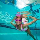 Goldfish Swim School - Stamford - Swimming Instruction