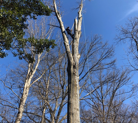 Tim W. Frazier Tree Service - Culpeper, VA